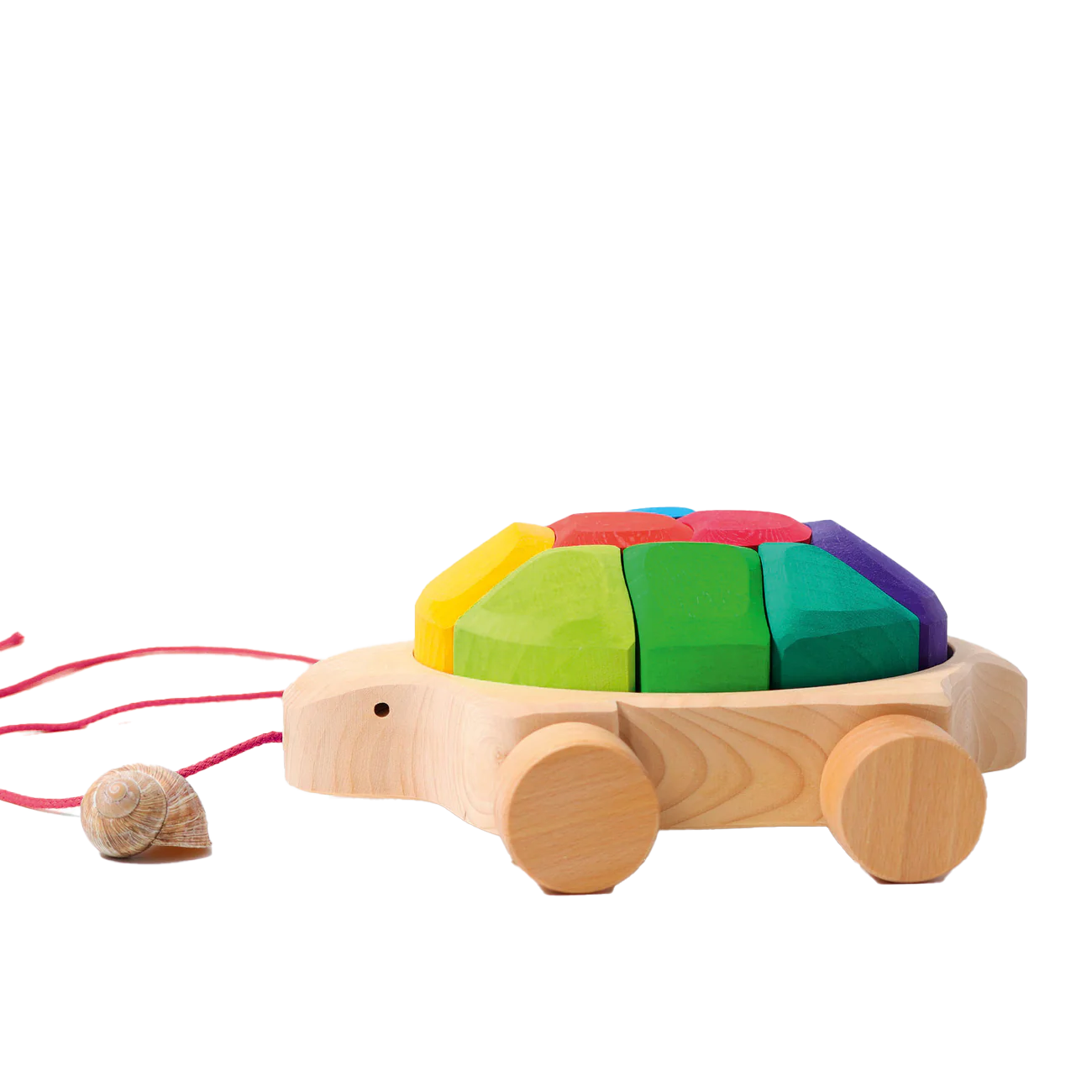 Grimms REGENBOGEN SCHILDKRÖTE