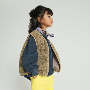 AMERICAN VINTAGE WESTE HOKTOWN  MUSKATNUSS MELIERT
