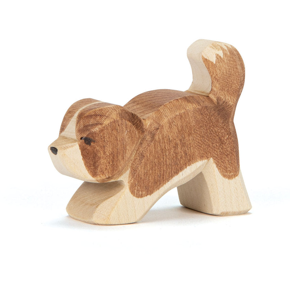 Ostheimer Bernhardiner klein Kopf tief