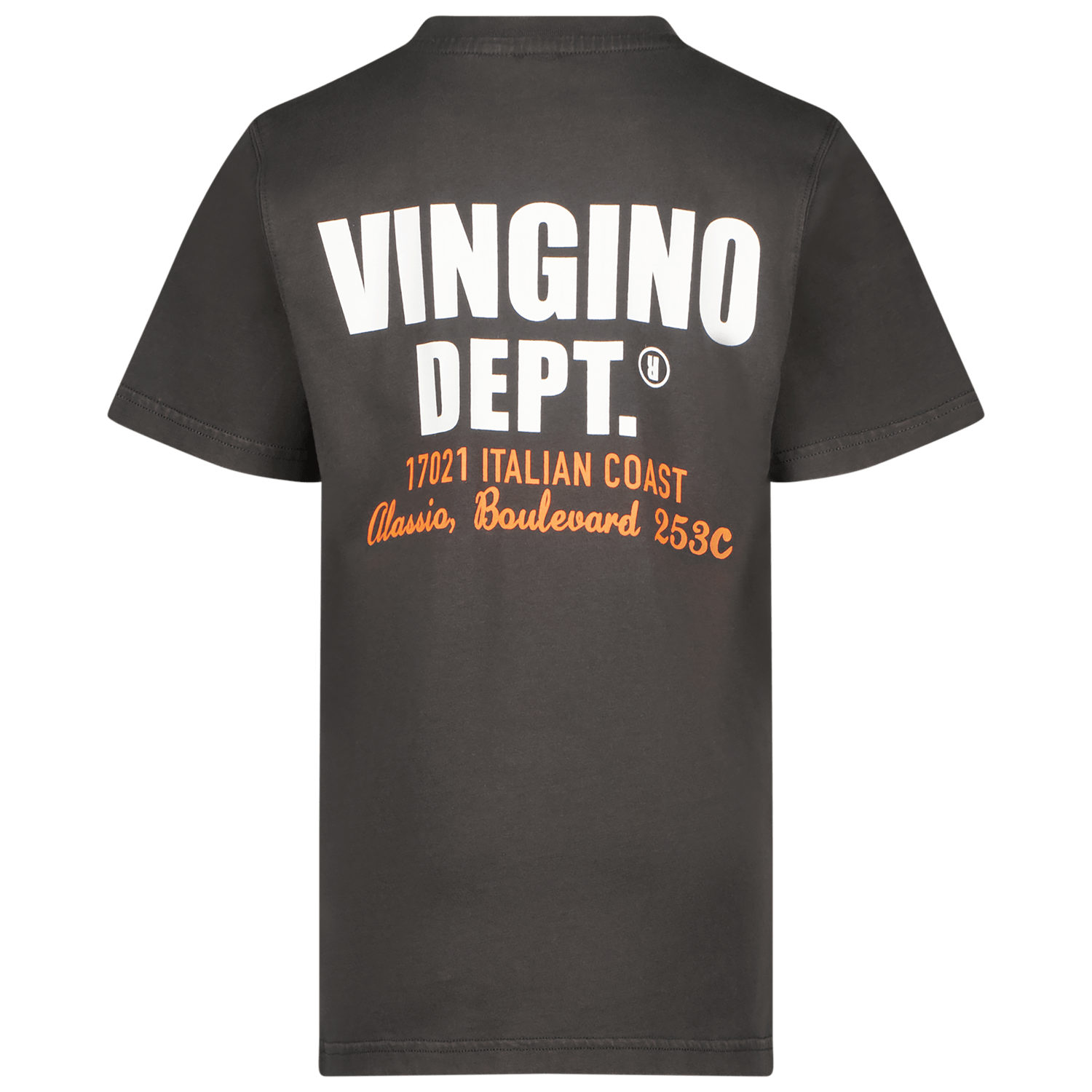 Vingino T-Shirt Jary grau